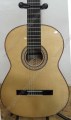 Guitarra de maple modelo GRO 2